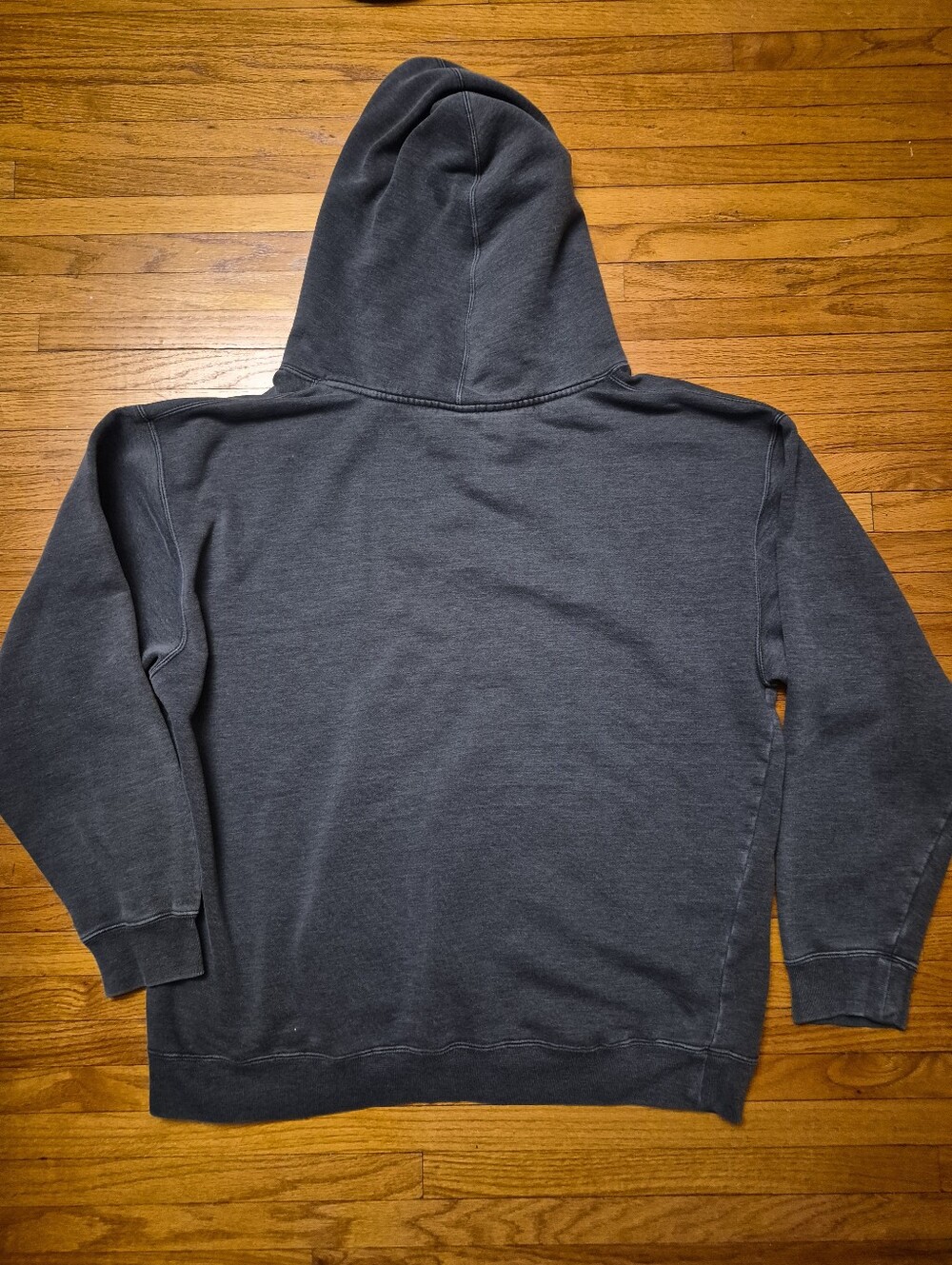 Lynard Skynyrd Large Fly On INC. 2007  Hoodie Sweatshirt - Picture 2 of 2